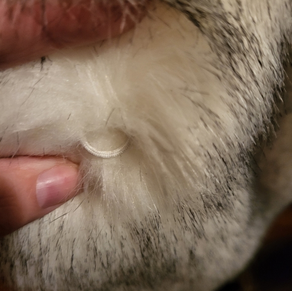 SOLD - Picture 3 of 7